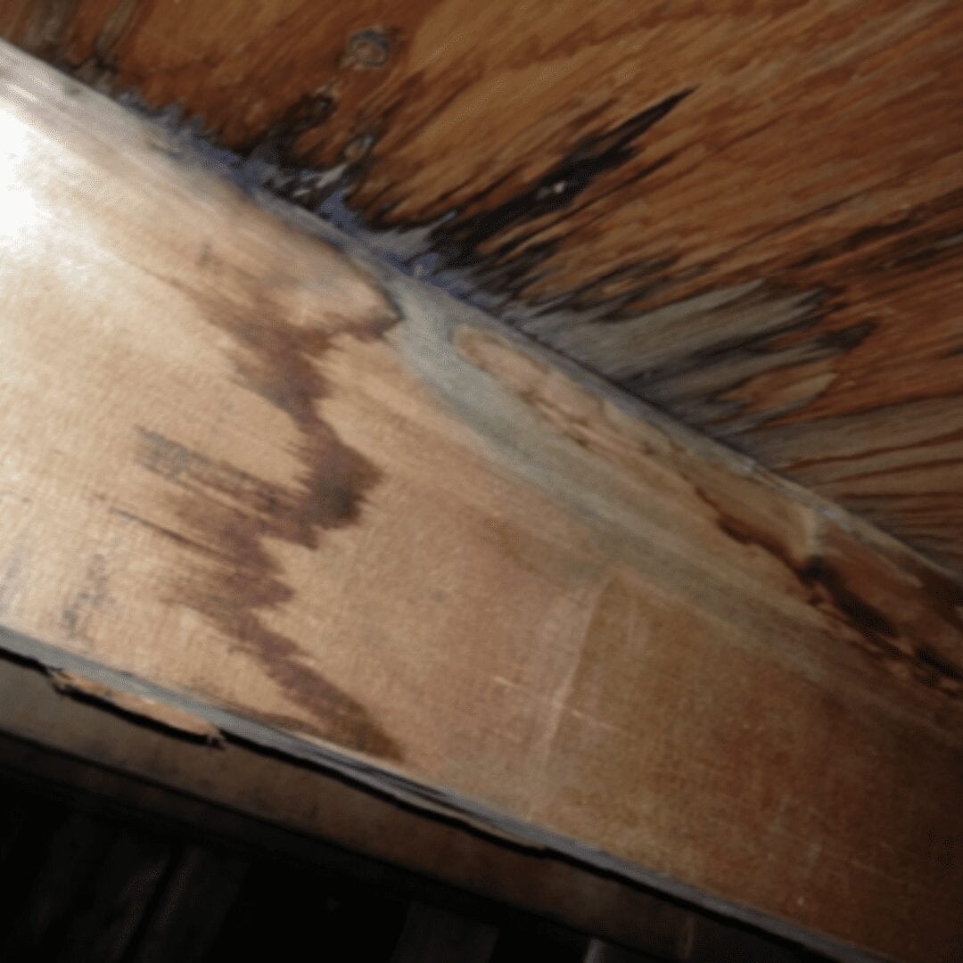 Bad Solar Installation Caused Extensive Wood Rot & Leaking