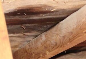 A leak in the attic