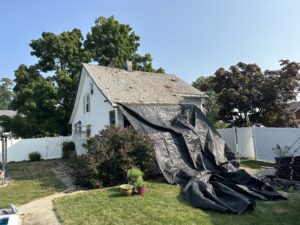 Tarping a residential roof and protecting landscaping prior to old roof removal during a professional roofing project