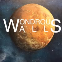 Wondrous Walls logo