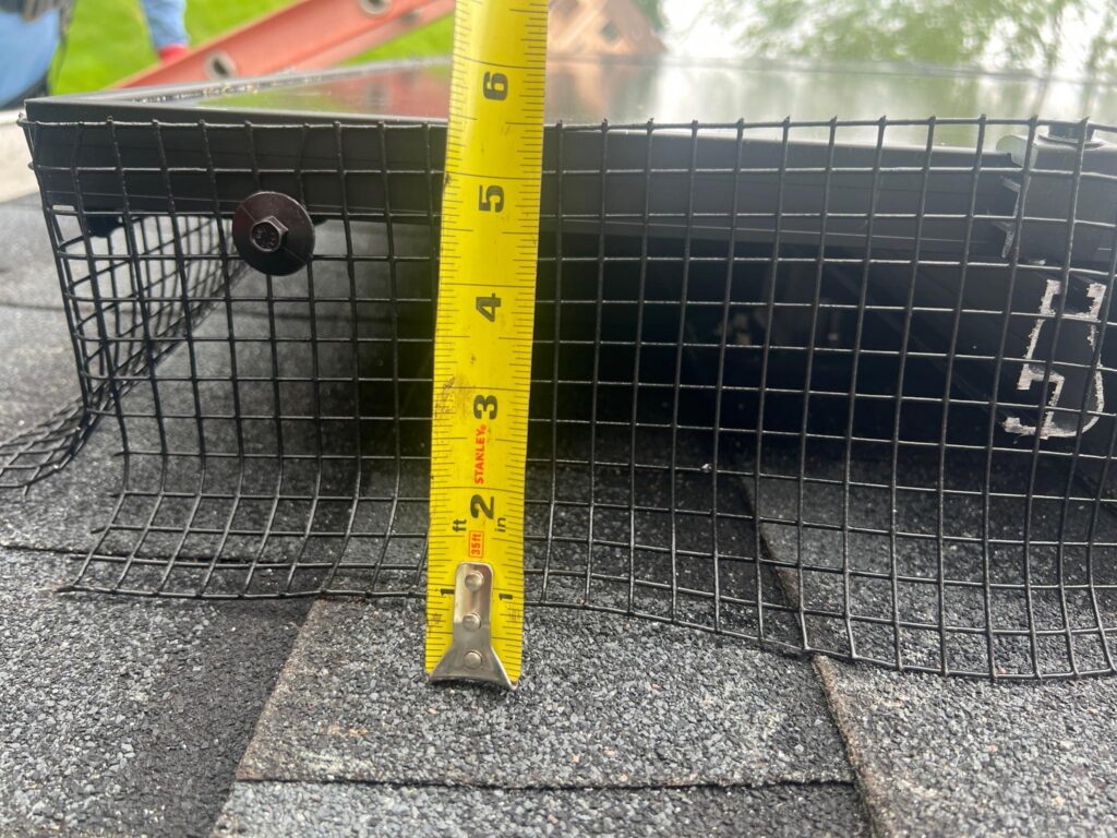 Solar Critter Guard in Red Bank, New Jersey