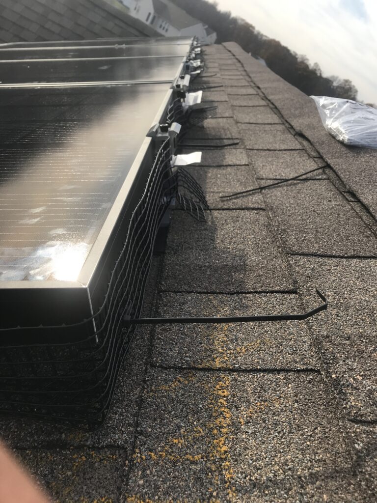 Solar Critter Guard in East Windsor, NJ