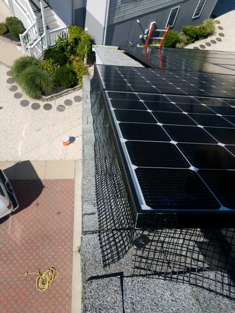Solar Critter Guard in Little Egg Harbor, NJ