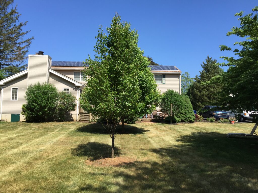 Solar Panel Installation in Tinton Falls, NJ