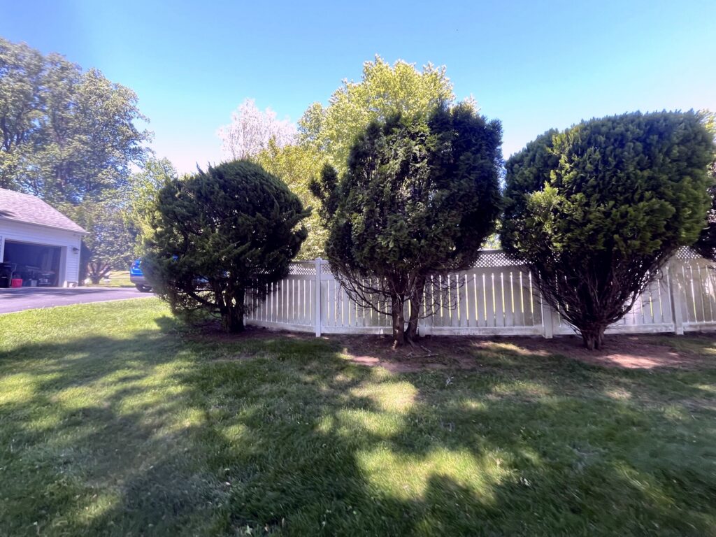 Before: Softwash Service in Middletown, NJ