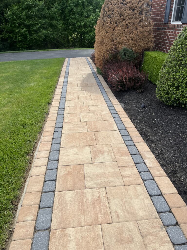 Softwash Service in Marlboro, NJ