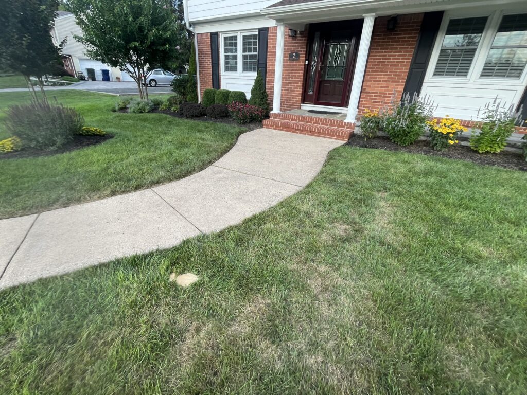 Softwash Service in Ocean, NJ