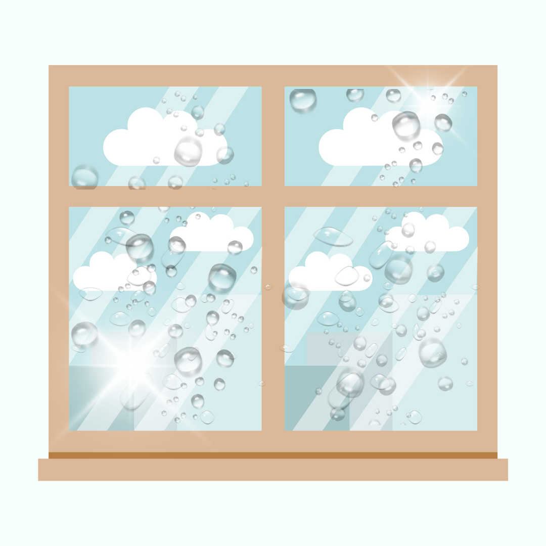Exterior Window Cleaning-Get streak-free, sparkling windows that enhance your home's brightness and curb appeal.